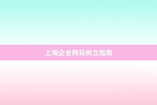 上海企业网站树立指南